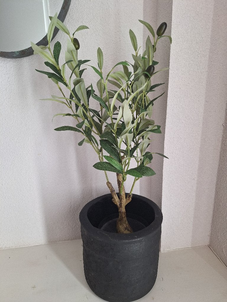 Kunst olijfboompje in pot, Ophalen, Zo goed als nieuw, Kunstplant