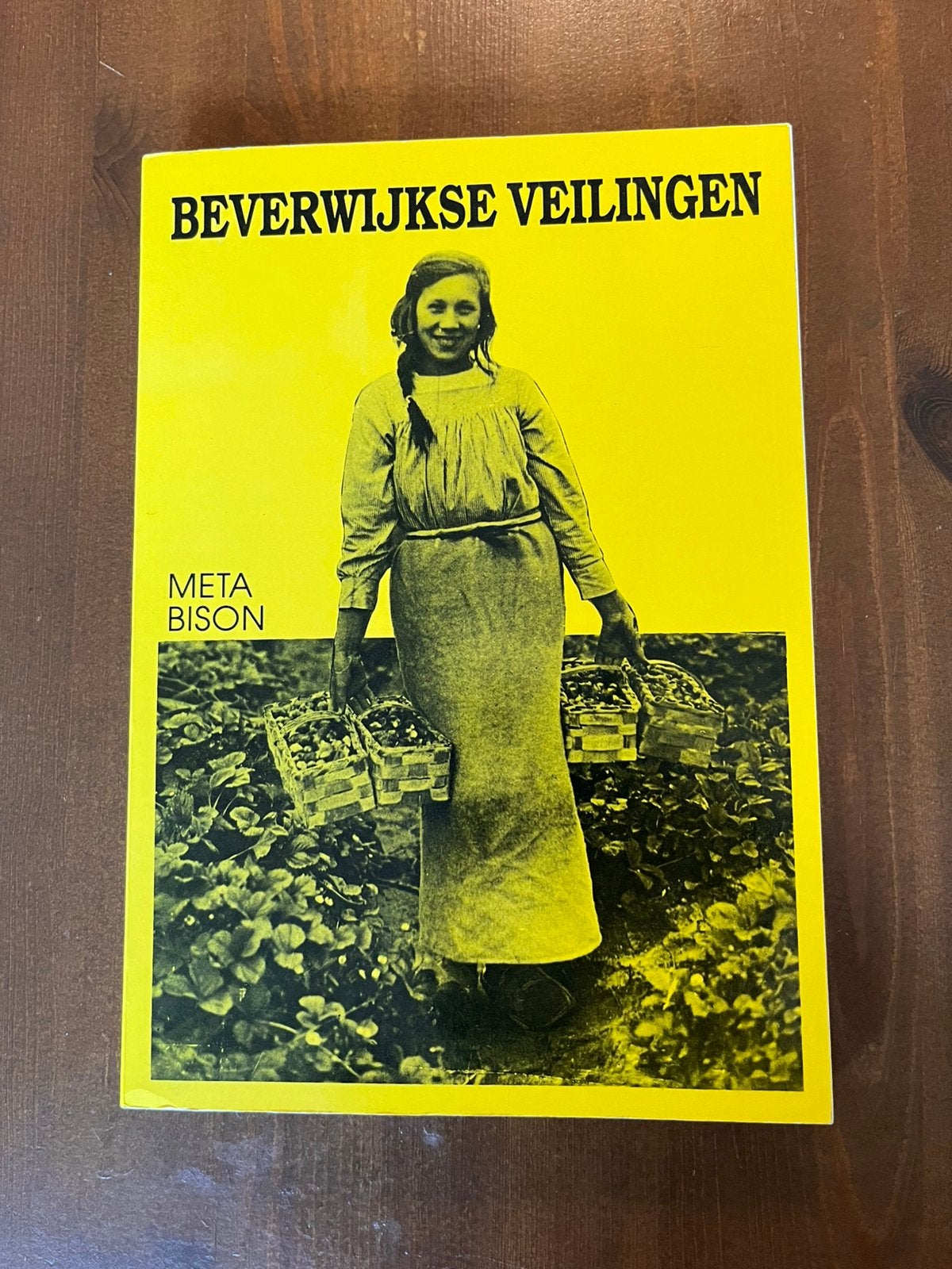 Beverwijkse veilingen - Meta Bison, Boeken, Ophalen of Verzenden, 20e eeuw of later, Zo goed als nieuw