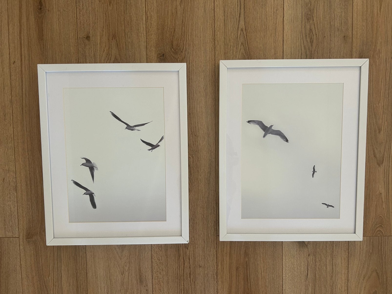 Bird print photographs and frames, Ophalen, Zo goed als nieuw