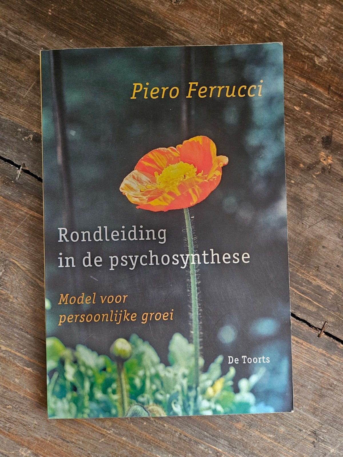 Rondleiding in de psychosynthese - Piero Ferrucci, Ophalen of Verzenden, Zo goed als nieuw