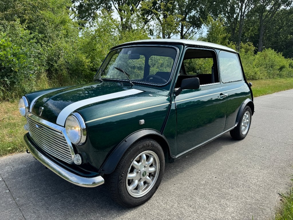 Mini Unknown