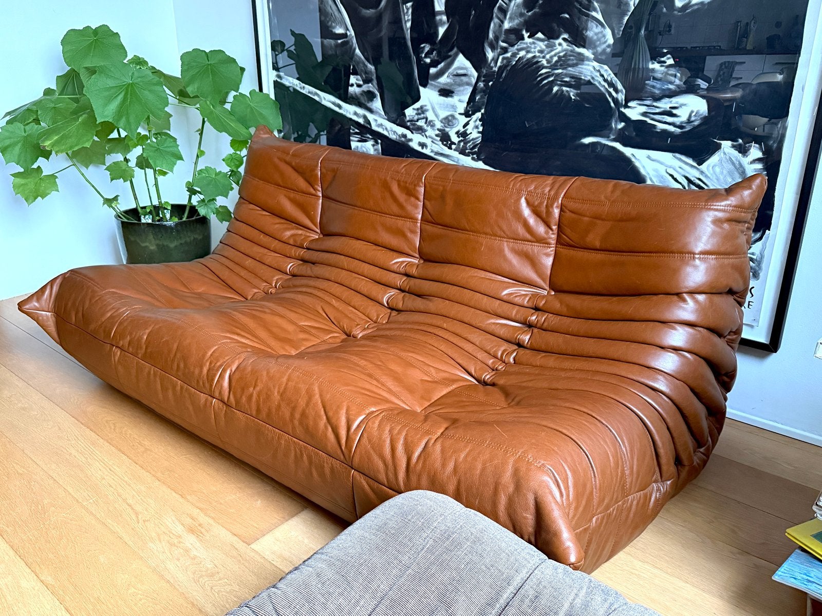 Togo - Linge Roset bank - Cognac Bruin leer - 3-zits, Gebruikt, 100 tot 125 cm, 150 tot 200 cm, Tweepersoons