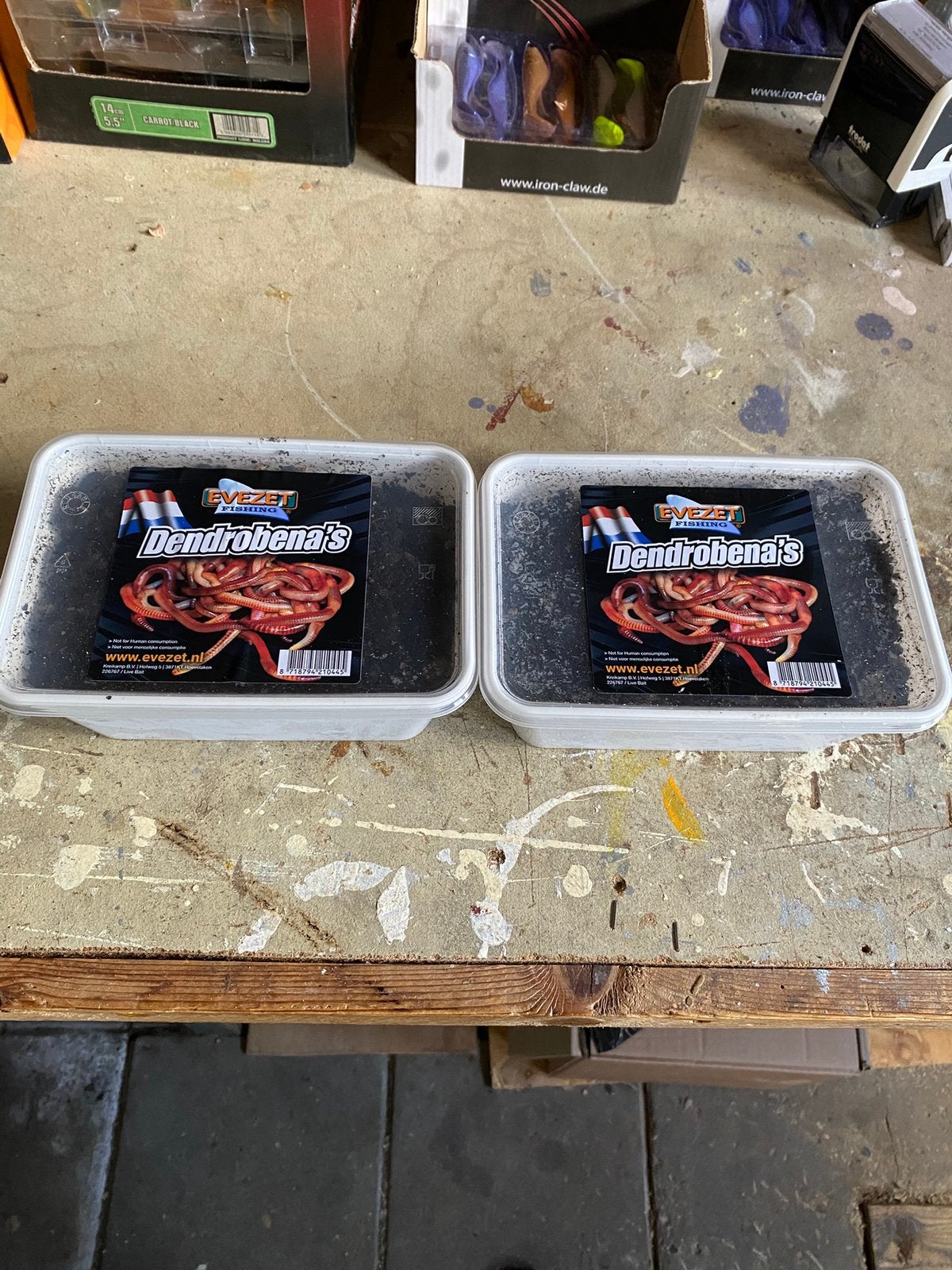 Nieuwe Verse lading Maden Wormen en pieren., Ophalen, B, G, Overige typen