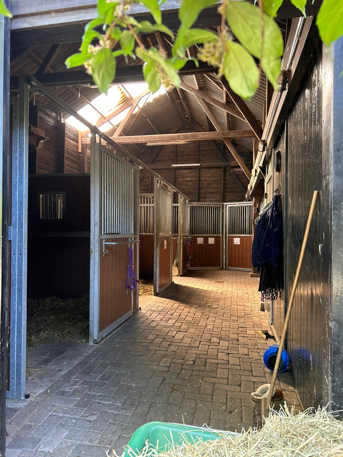 Equine Job in Uddel ( Gelderland )