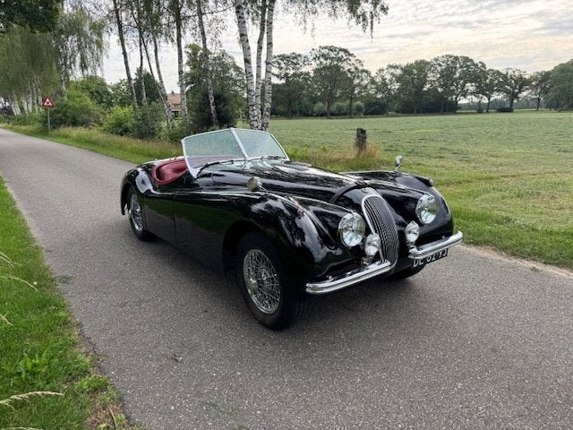Jaguar XK 120 OTS 3.4 Litre 1953, foto 9