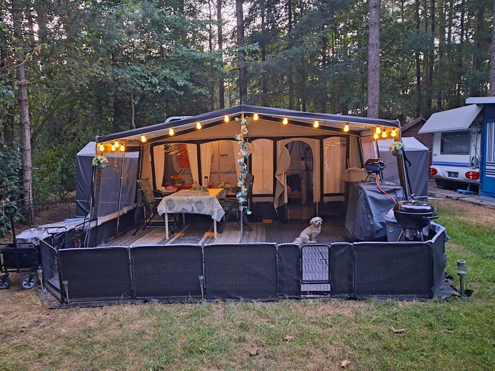 Caravan, voortent, luifel, zijcabines, mogelijk seizoenplek, Rondzit, Frans bed, Particulier, 6 tot 7 meter