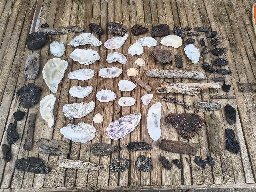Prachtige verzameling schone oesters, drijfhout en fossielen, Verzamelen, Ophalen of Verzenden, Schelp(en)