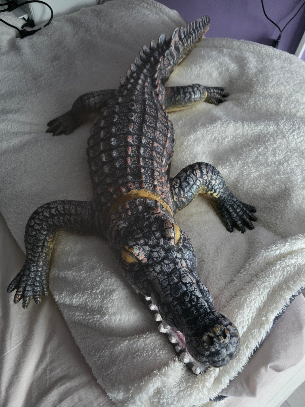 krokodil, 0 tot 2 jaar