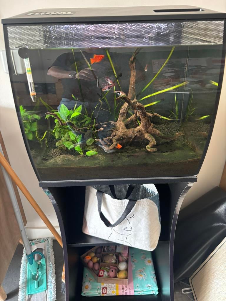 Fluval aquarium 57ltr incl meubel en inrichting, Ophalen, Gebruikt, Gevuld zoetwateraquarium, Inclusief vissen