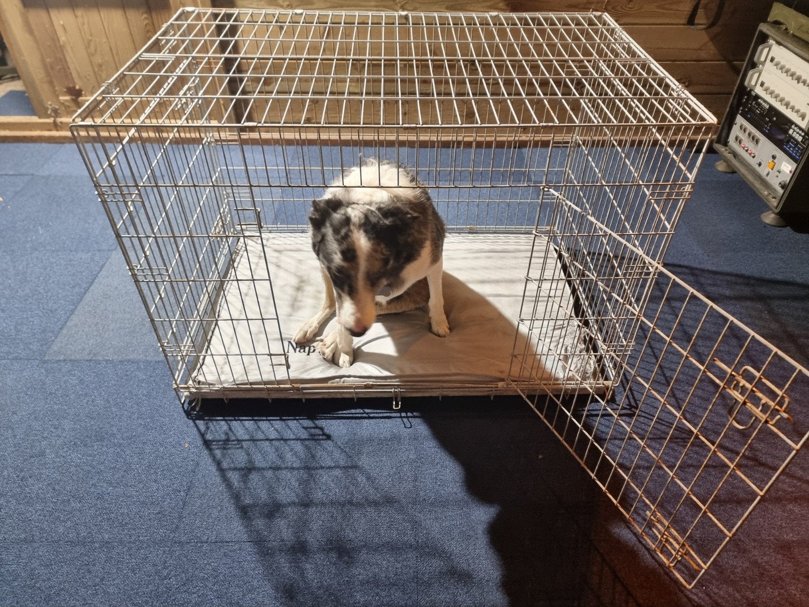 honden bench, Ophalen, Gebruikt