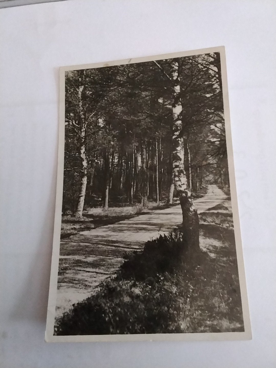 Oude ansichtkaart Hoge Veluwe Hoenderloo De Kronkelweg, Verzamelen, Ophalen of Verzenden, 1920 tot 1940, Gelopen, Gelderland