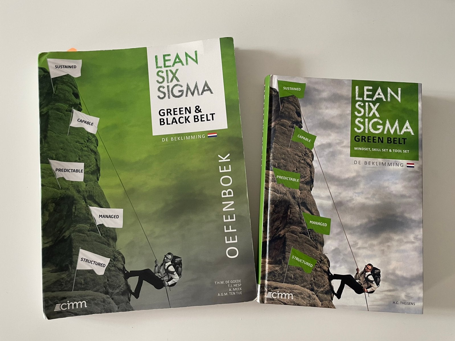 Lean Six Sigma Green Belt boeken – set van 2, Boeken, Ophalen of Verzenden, Gelezen