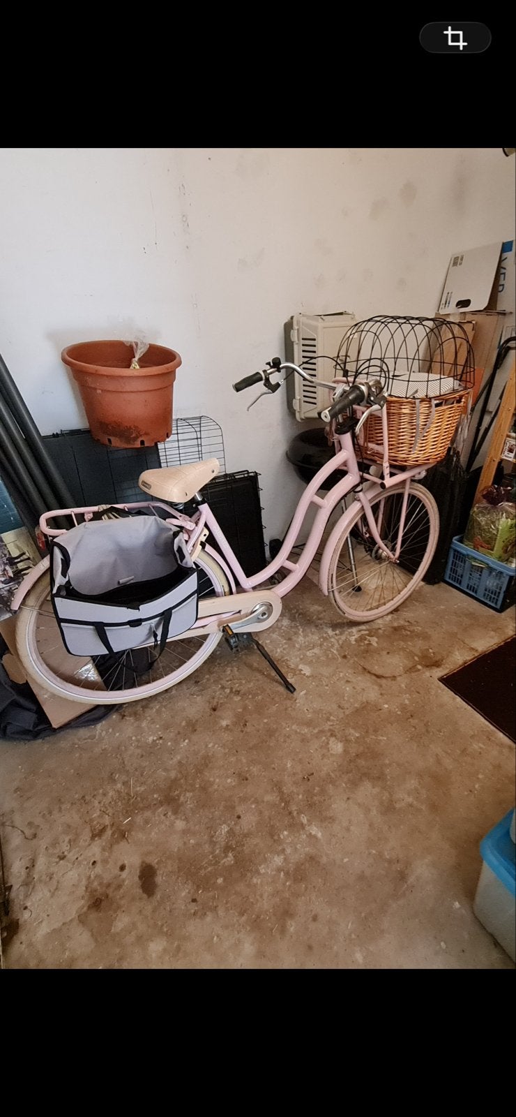 Sparta Lola-jo damesfiets met hondenmand, opknapper, Fietsen en Brommers, Ophalen, Sparta, Gebruikt, Versnellingen