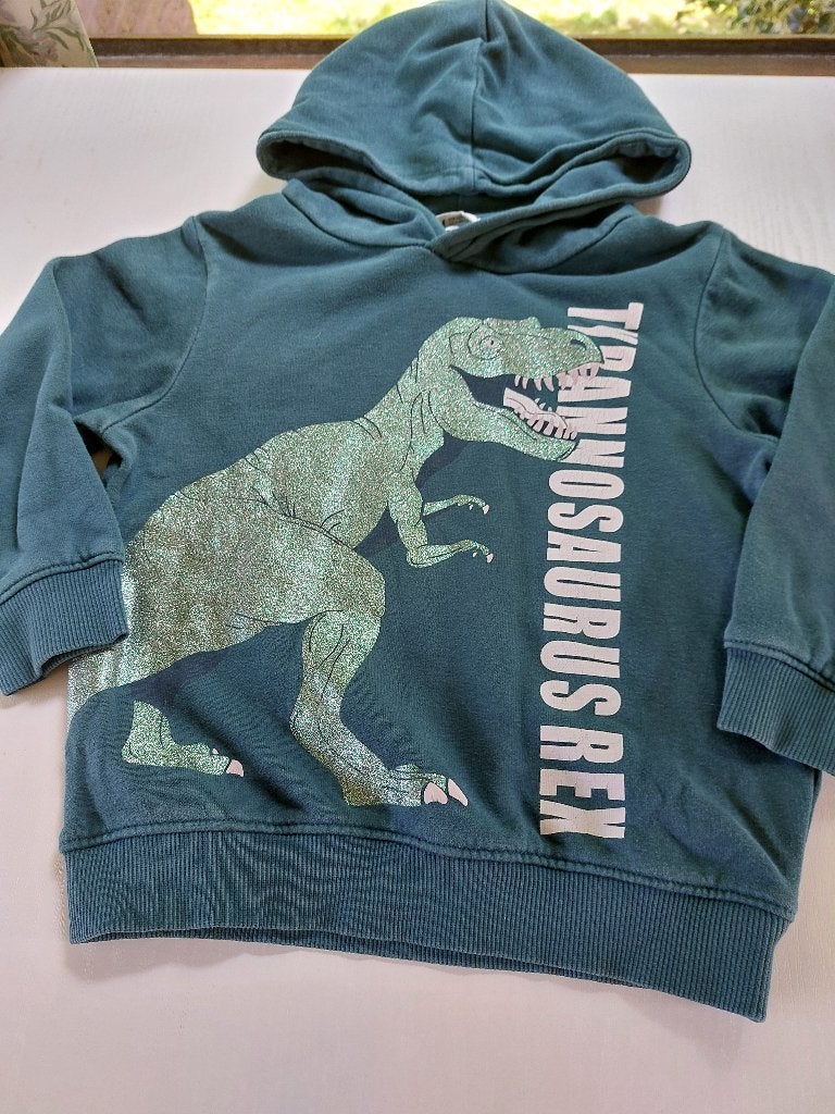1 trui (hoodie) groen met tyranosaurus Rex mt.98-104,glitter, Kinderen en Baby's, Kinderkleding | Maat 98, Gebruikt, Trui of Vest