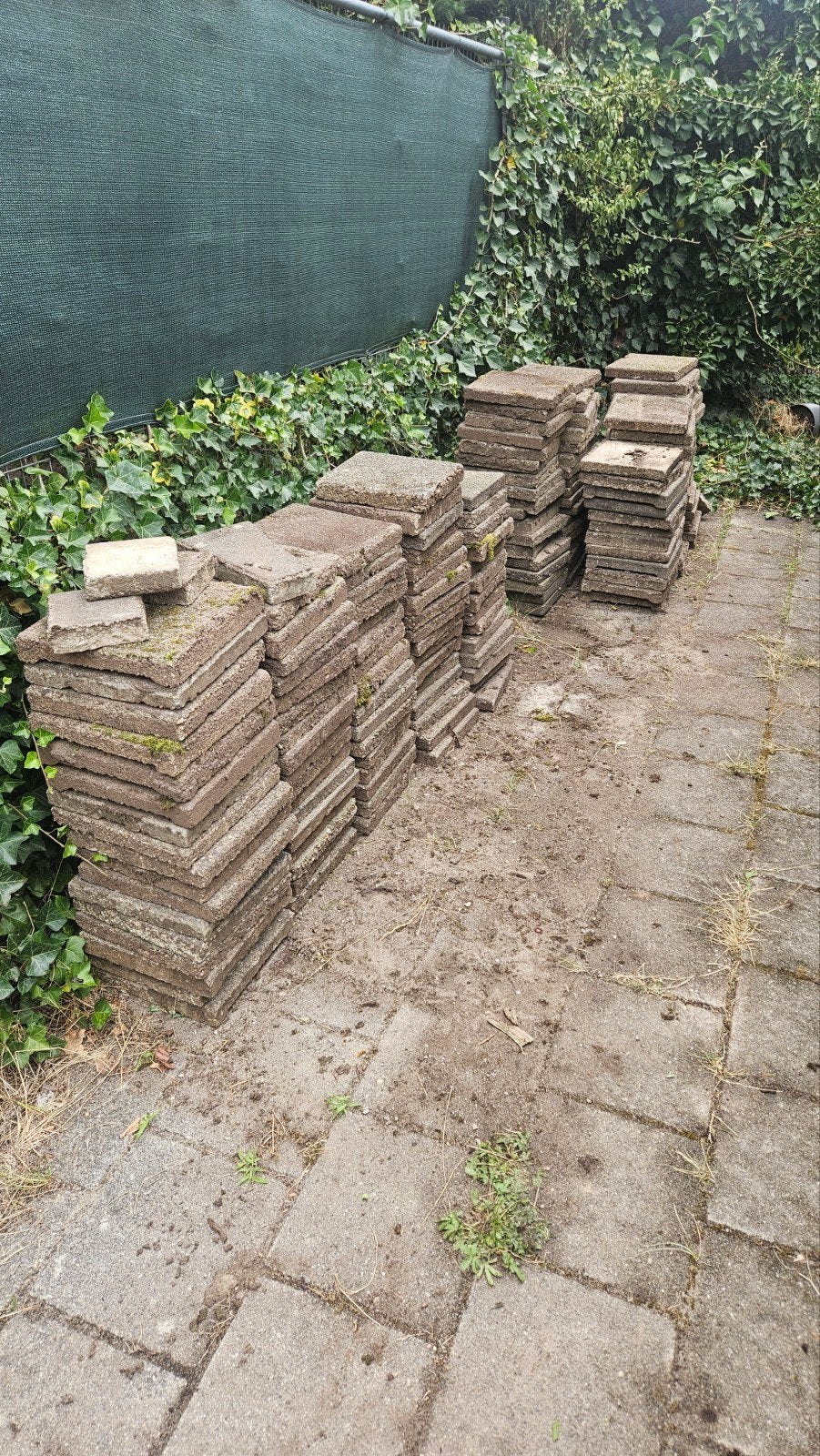 Gratis stoeptegels, Tuin en Terras, Tegels en Klinkers, Ophalen, Gebruikt, Beton, Terrastegels