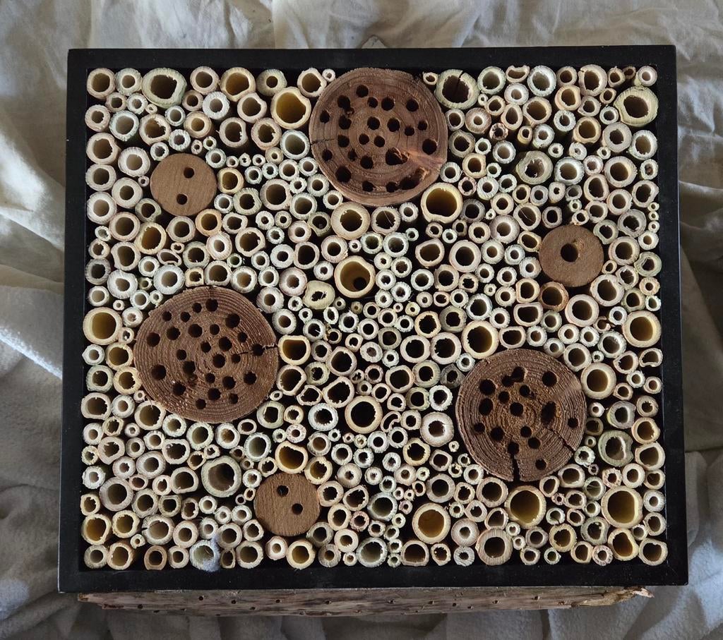 Insectenhotel, bijenhotel, zwart., Ophalen of Verzenden, Nieuw