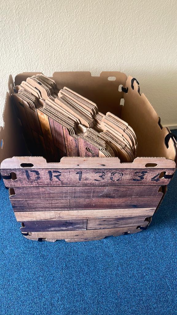 Fantasy forts megaset - kartonnen bouwstenen (hout-look), Ophalen, Gebruikt, Overige merken
