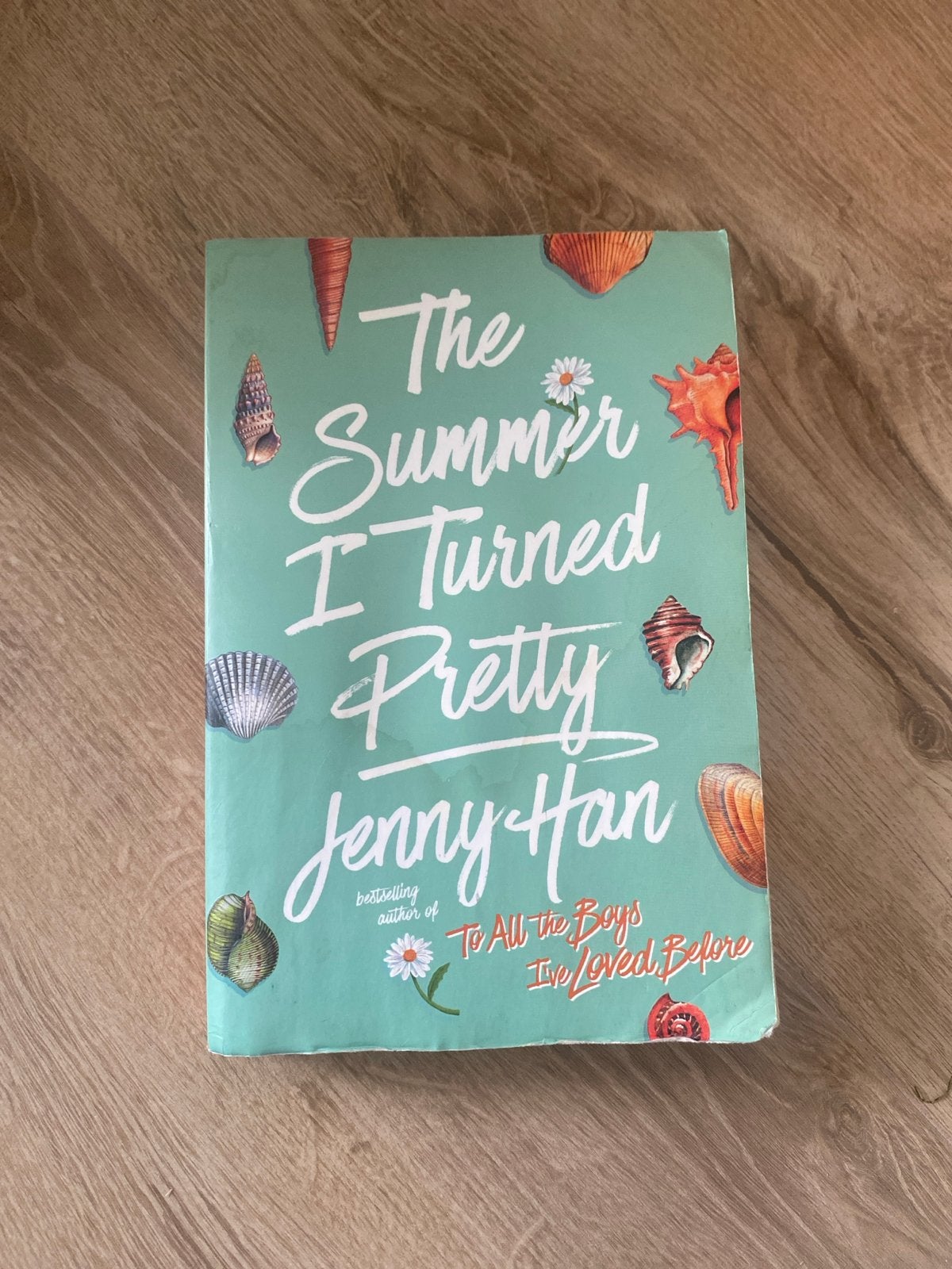 The Summer I Turned Pretty - Jenny Han (Engels), Boeken, Ophalen of Verzenden, Gelezen, Amerika