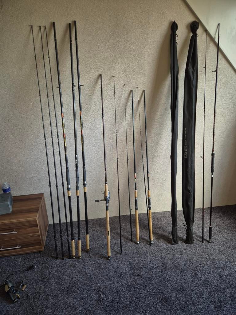 Complete visuitrusting: karper, snoek, hengels, tentje, Watersport en Boten, Ophalen, Gebruikt, Complete set