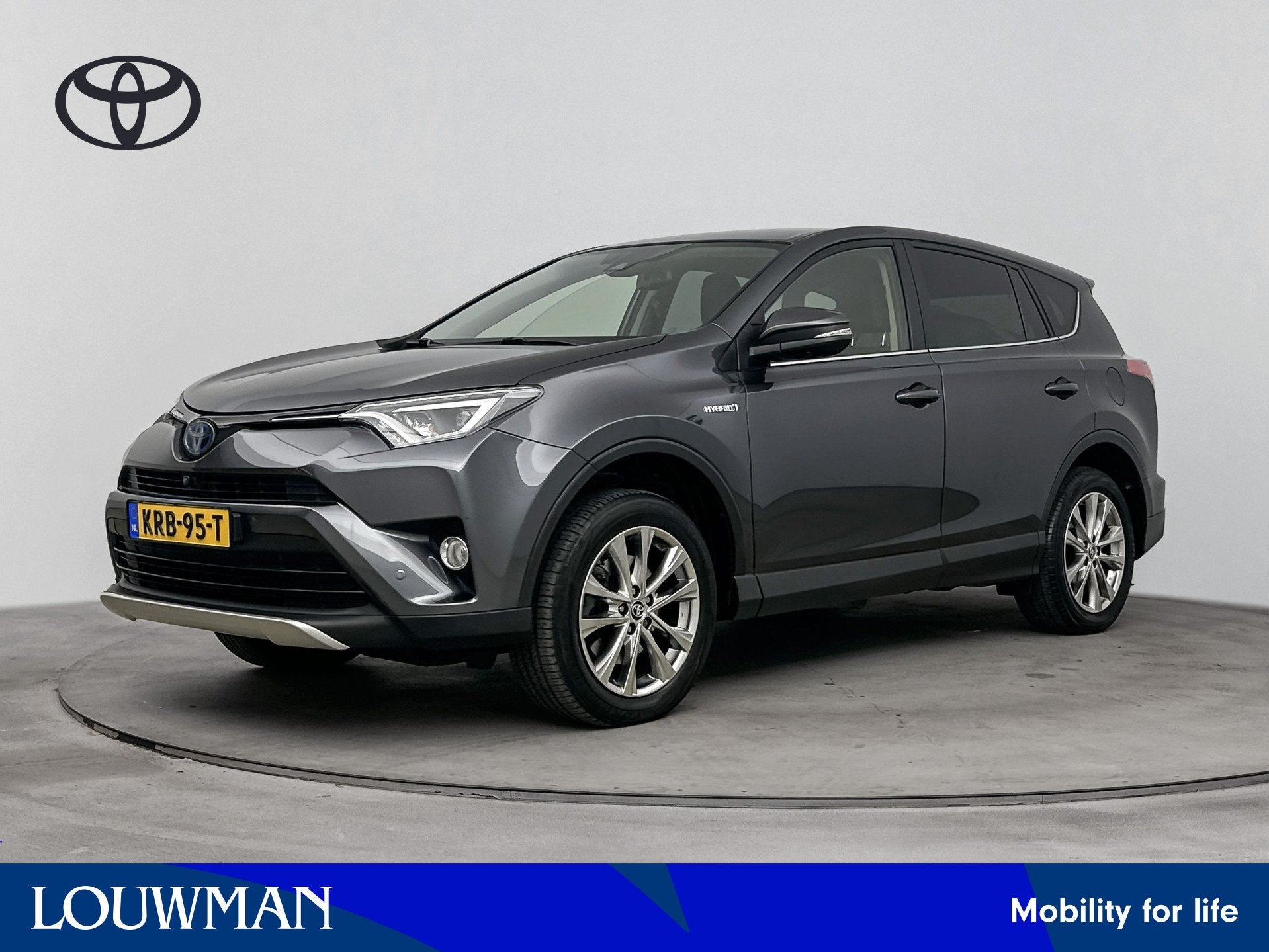 Toyota RAV4 2.5 Hybrid AWD Executive | Parkeersensoren V+A |