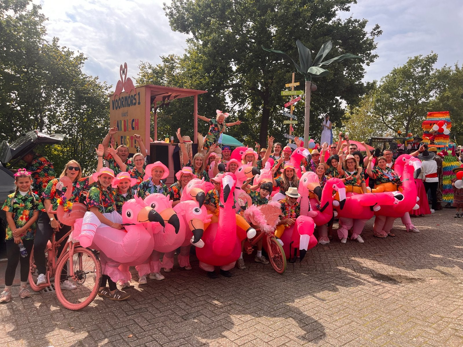 23 Flamingo pakken voor optocht of carnaval, Ophalen of Verzenden, Gebruikt, 170 of groter, Jongen of Meisje