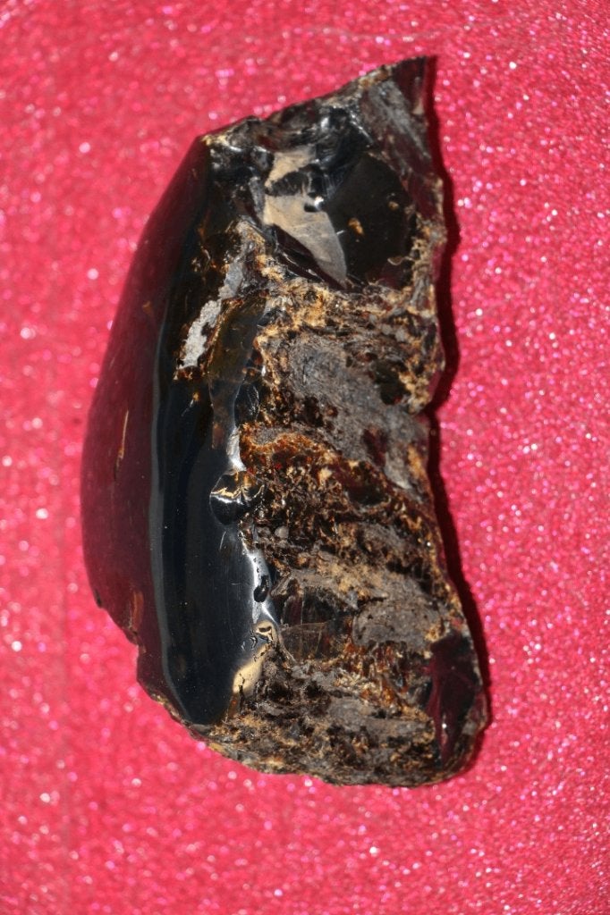 Amber, Ophalen of Verzenden, Fossiel