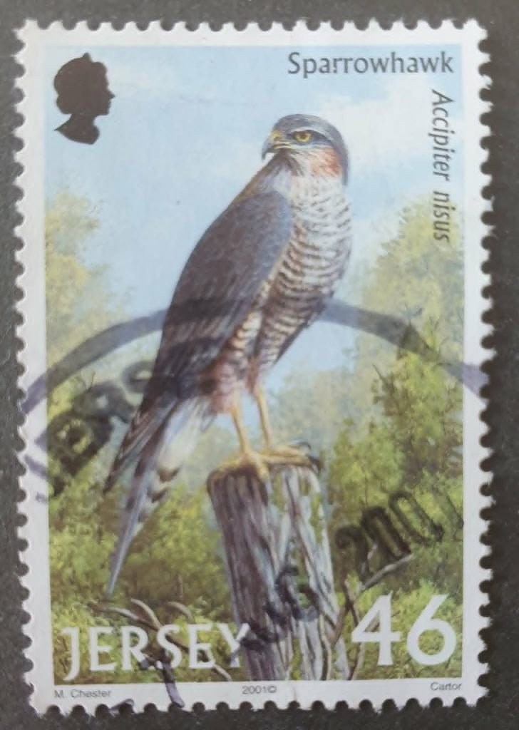 194-26 Jersey 2001/ Sparrowhead - Sperwer 46p, Postzegels en Munten, Postzegels | Europa | UK, Verzenden, Gestempeld