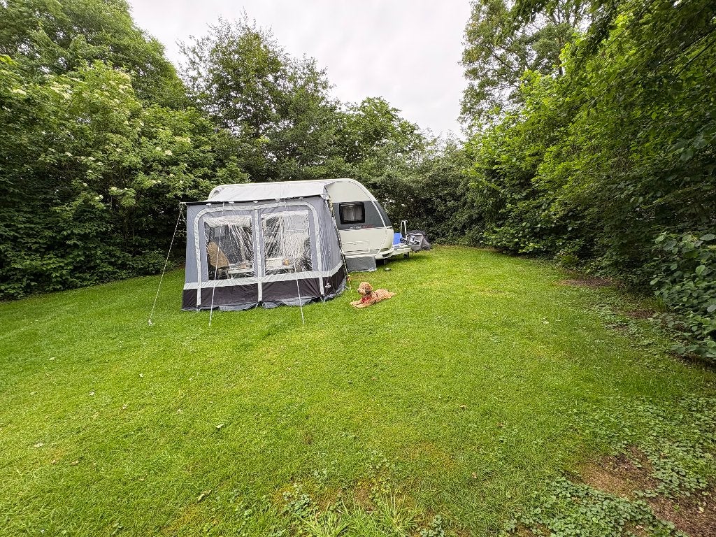 tent, Ophalen, Gebruikt, Tot en met 4