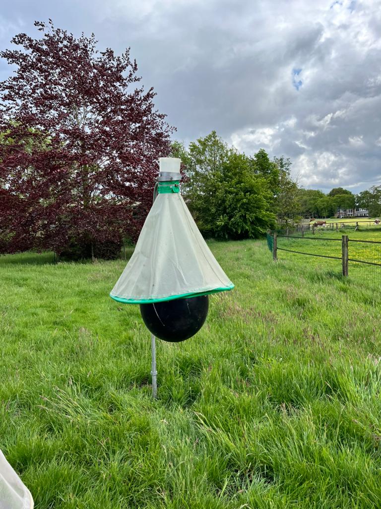 Dazenval / Paardenvliegval - Effectieve insectenbestrijding, Ophalen, Gebruikt, Ongediertebestrijding