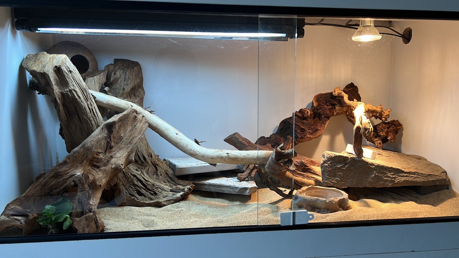 Terrarium 100x50x50 *UVB + hotspot*, Dieren en Toebehoren, Ophalen