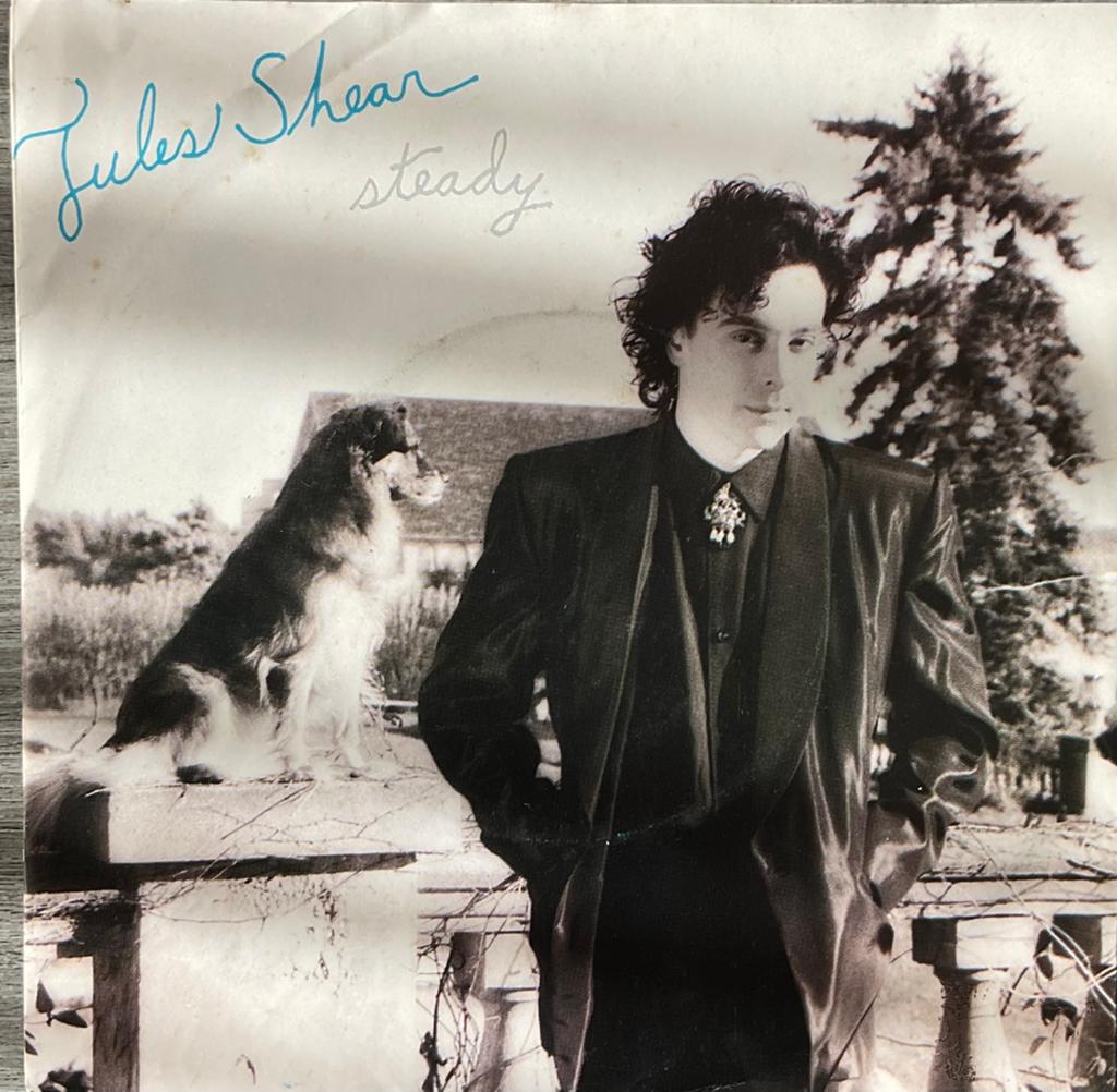 Jules Shear - Steady (NL’85) plaat HEEL MOOI (USop57), Verzenden