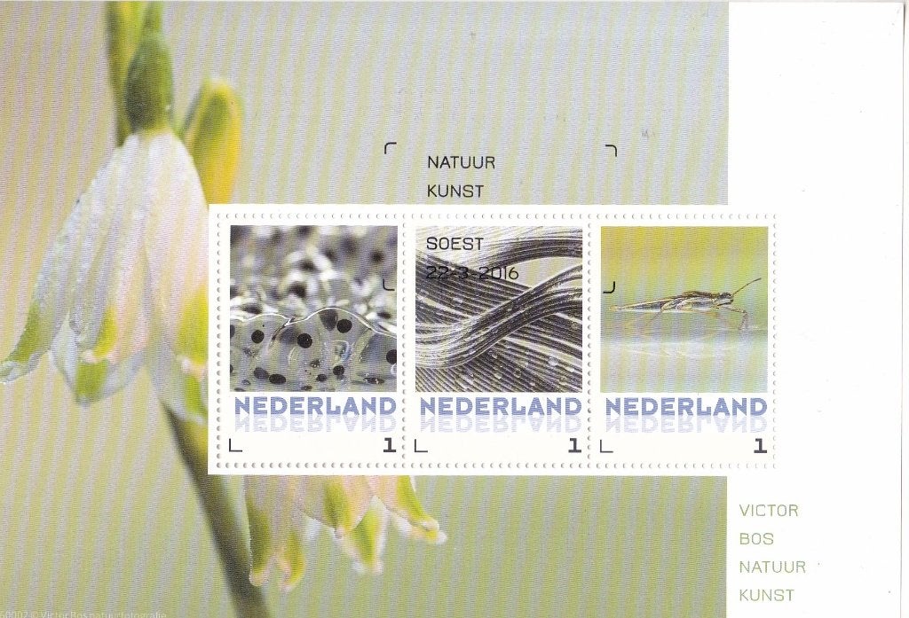 Victor Bos - Natuurkunst - Kikkerdril - Soest 22-3-2016, Verzenden, Na 1940, Gestempeld