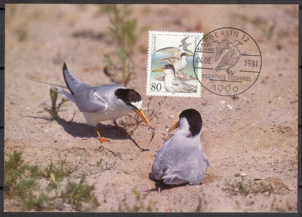 Dwergstern - zeevogel, Verzenden, 1980 tot heden, Ongelopen, Vogel