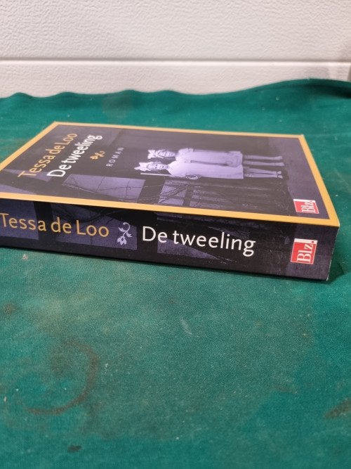 boek de tweeling tessa de loo, Ophalen of Verzenden