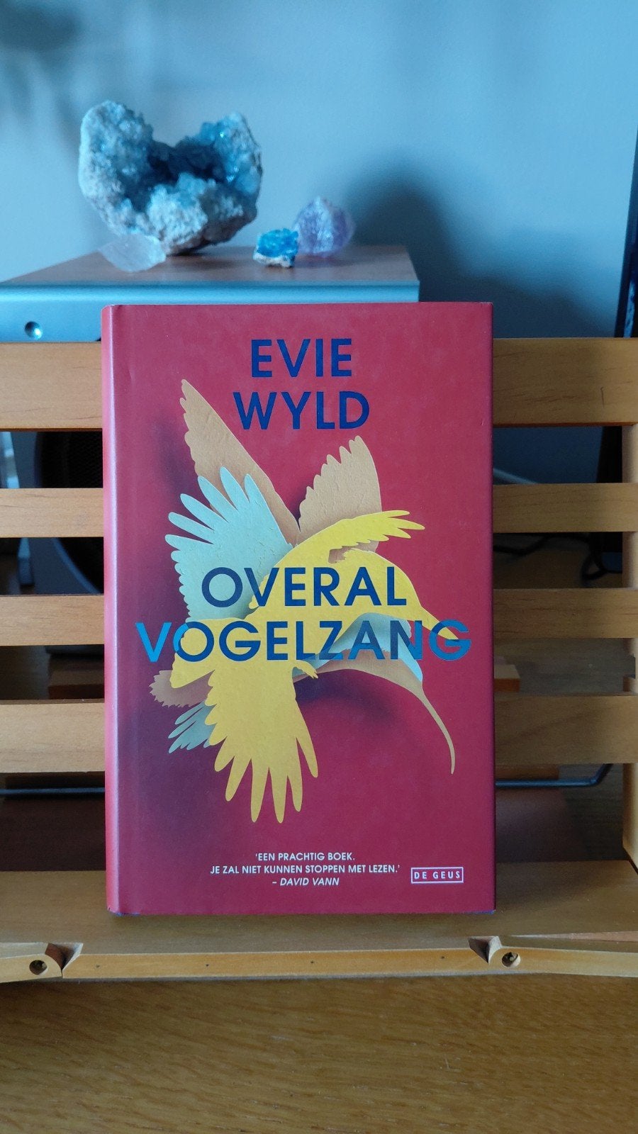 Overal Vogelzang - Evie Wyld, Boeken, Ophalen of Verzenden, Zo goed als nieuw, Evie Wyld