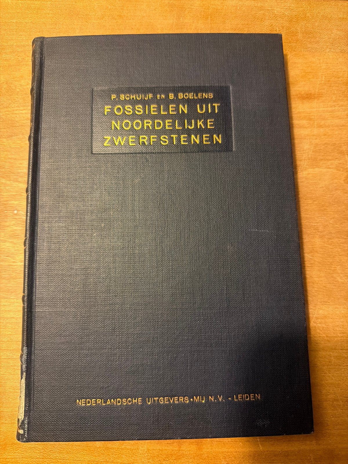 Fossielen uit Noordelijke Zwerfstenen - P. Schuijf & B. Boel, Boeken, Ophalen of Verzenden, Gelezen, Natuurwetenschap
