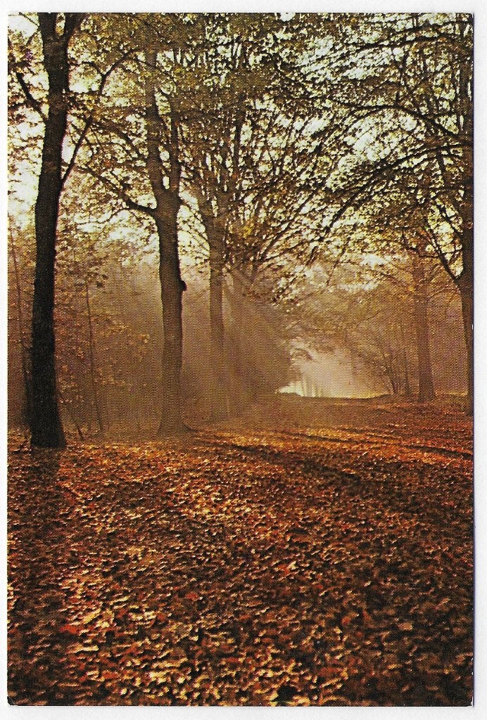 Oosterbeek ongelopen Ansichtkaart ( B2837, Ophalen of Verzenden, 1980 tot heden, Gelopen, Gelderland