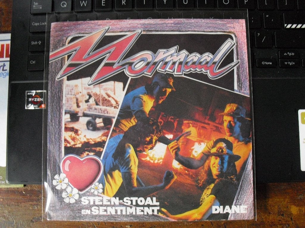 Single NORMAAL  --- STEEN  STOAL EN SENTIMENT, 7 inch, Ophalen of Verzenden, Zo goed als nieuw, Levenslied of Smartlap