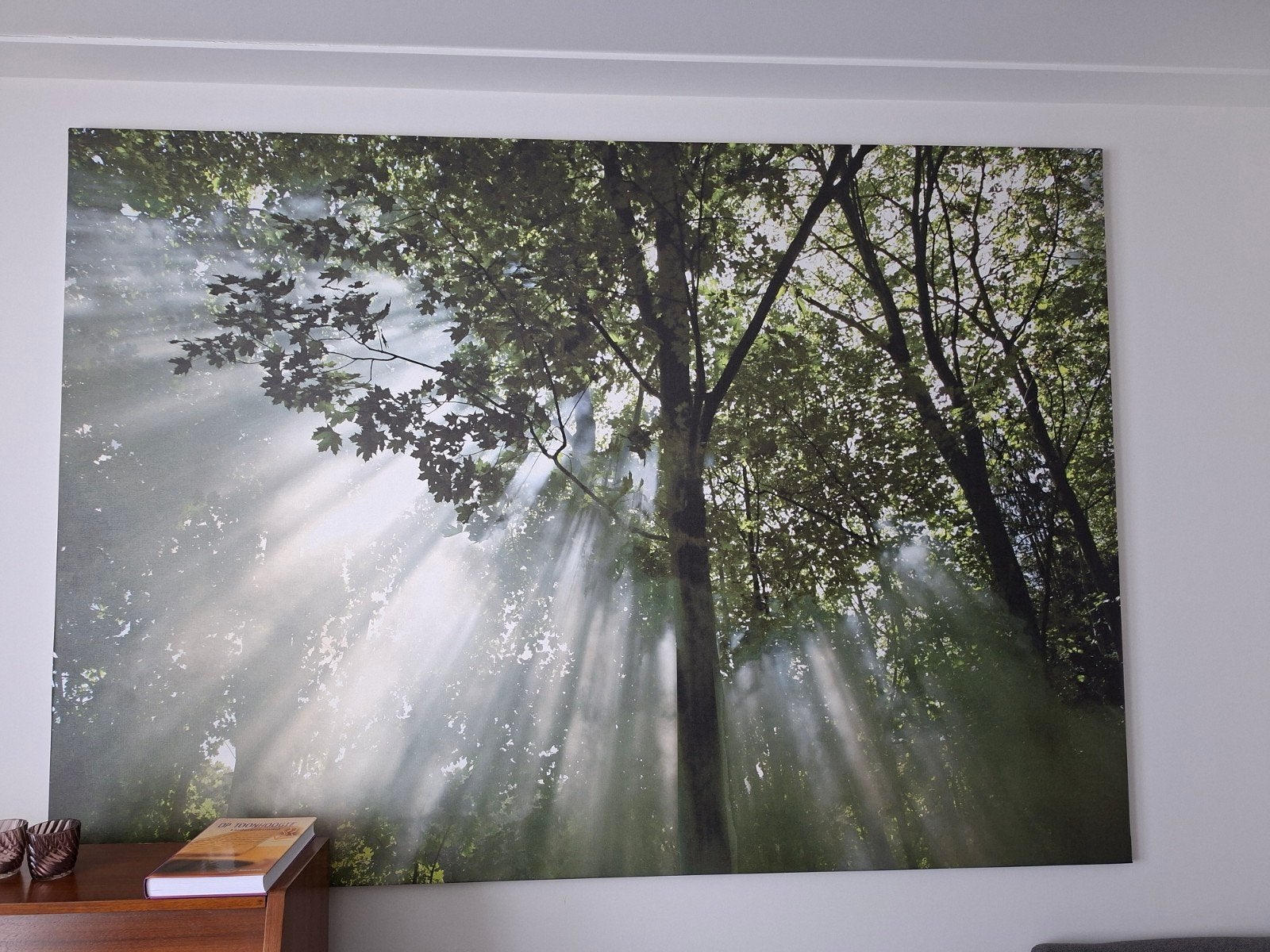 XXL Canvas Schilderij Bos met Zonnestralen 200x140 cm IKEA, Ophalen, 125 cm of meer, Zo goed als nieuw, Schilderij