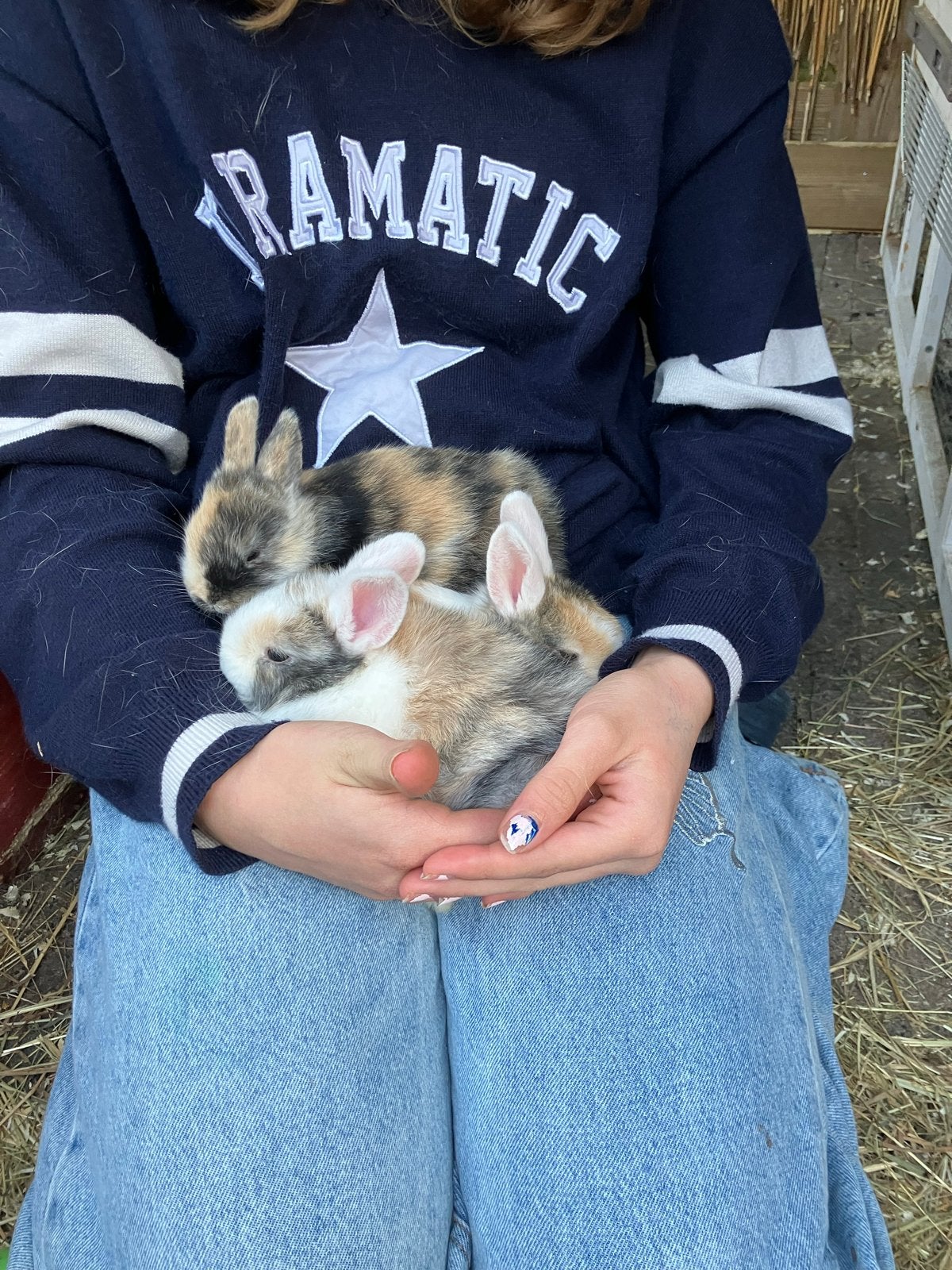 Schattige, handtamme konijnen, Dieren en Toebehoren, Meerdere dieren, Overige typen, Tam, September