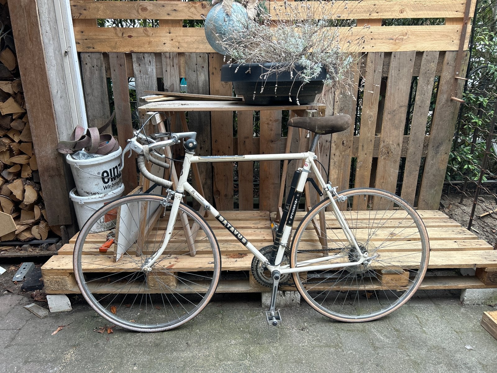 Batavus Champion racefiets - Vintage, 28 inch, Gebruikt, Velgrem, Batavus