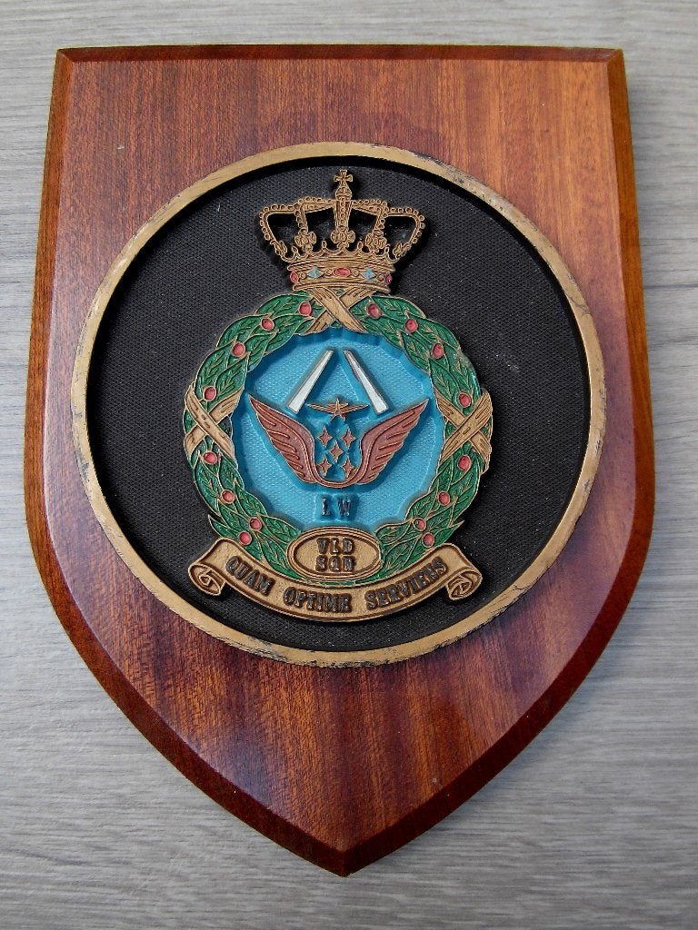 Wapenschild Koninklijke Luchtmacht Leeuwarden VLD Squadron, Verzenden, Luchtmacht, Nederland, Overige typen
