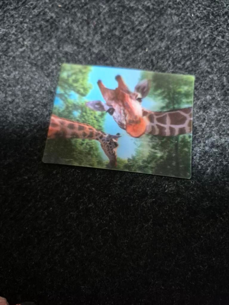 3d giraf magneet, Ophalen of Verzenden, Zo goed als nieuw, Beeldje of Figuurtje