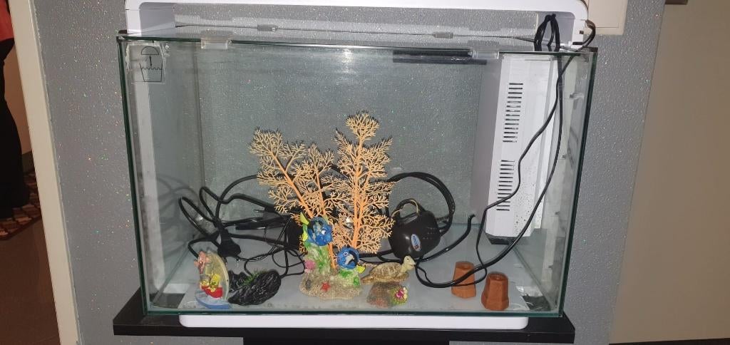 Aquarium, Dieren en Toebehoren, Ophalen, Zo goed als nieuw, Leeg aquarium, Verwarming