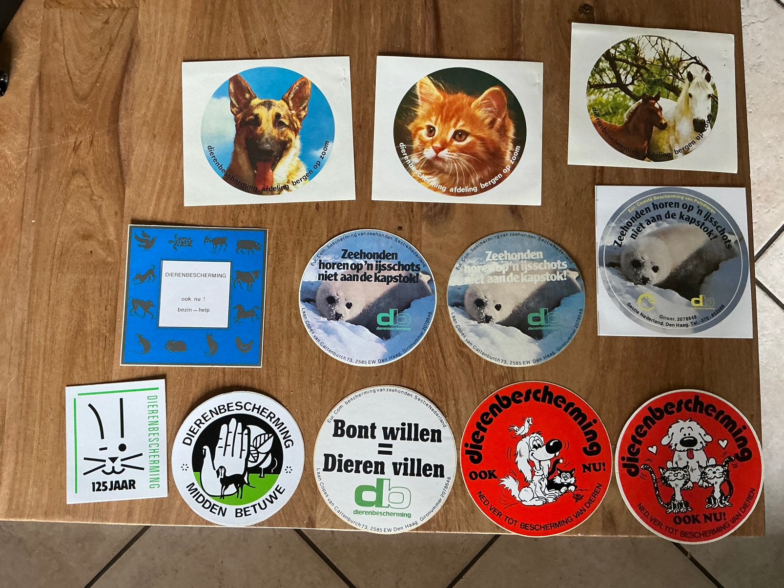 Stickers mbt dierenbescherming, Ophalen of Verzenden, Zo goed als nieuw
