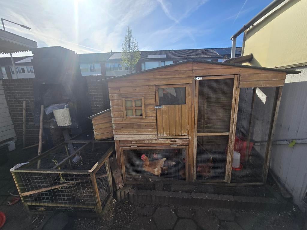 Kippenhok met 5 kippen te koop, Dieren en Toebehoren, Pluimvee | Toebehoren, Ophalen