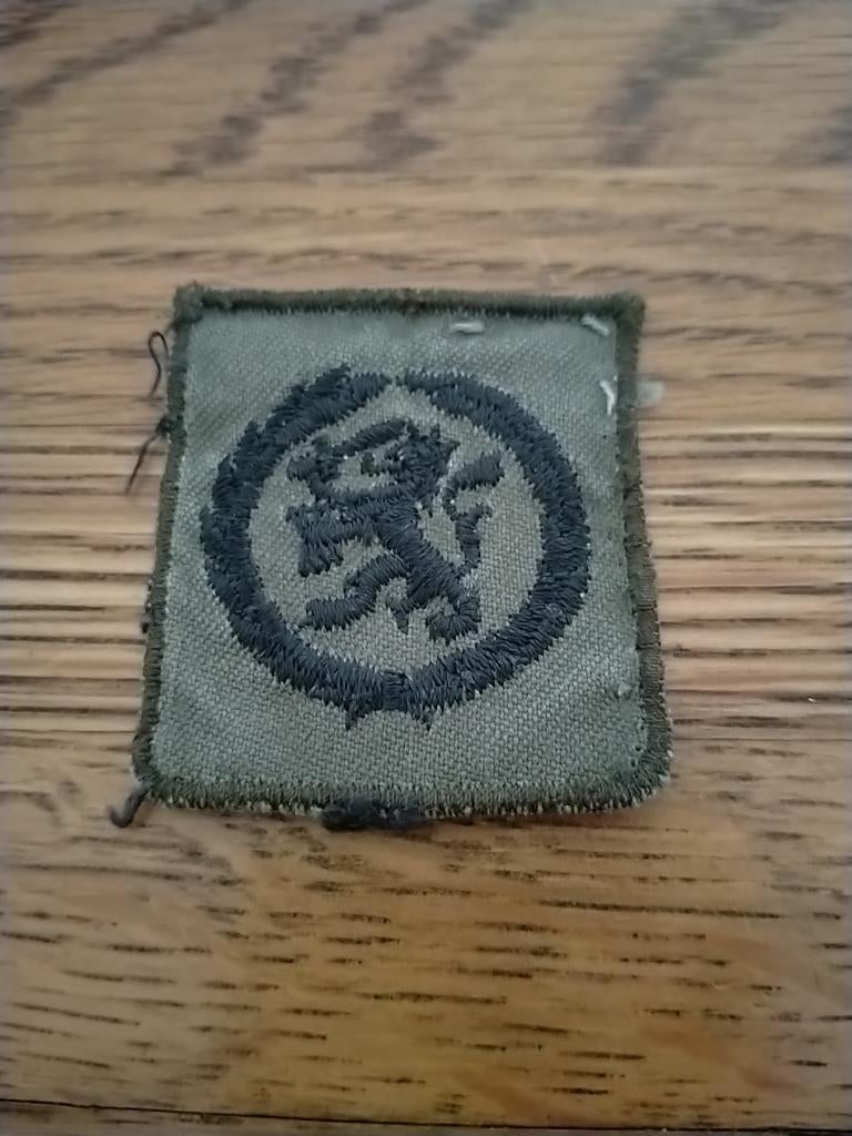 NL KL brevet algemene bekwaamheid , 5x5, Verzenden, Landmacht, Nederland, Embleem of Badge