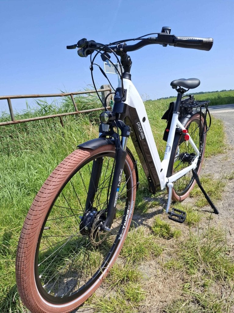 Fietshokje Groningen: Prophete Geniesser e-bike NIEUW, Fietsen en Brommers, Elektrische fietsen, Niet ingevuld, Nieuw, Ophalen of Verzenden