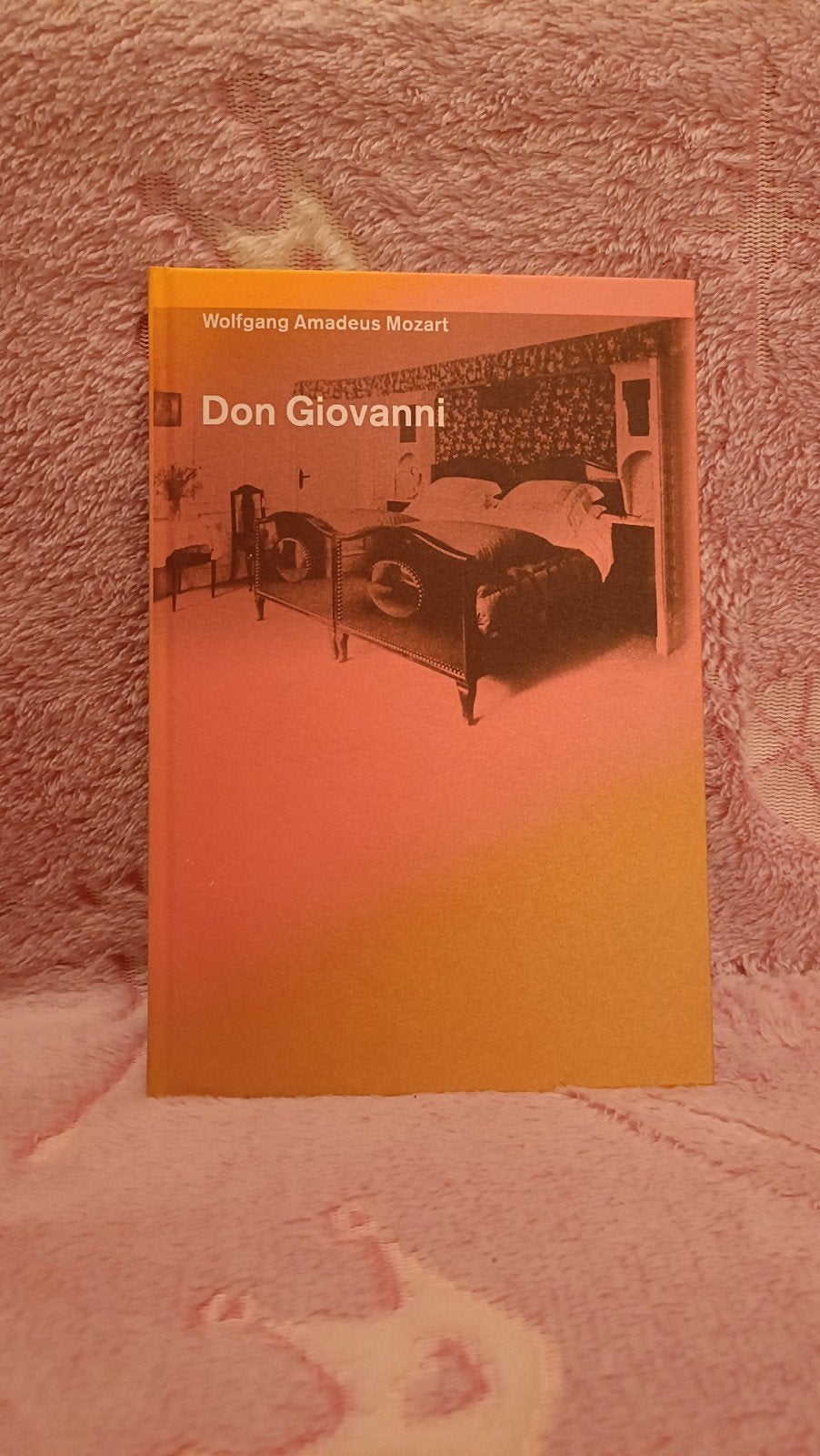 DNO - Don Giovanni, De Nederlandse Opera, Ophalen of Verzenden, Zo goed als nieuw, Overige onderwerpen