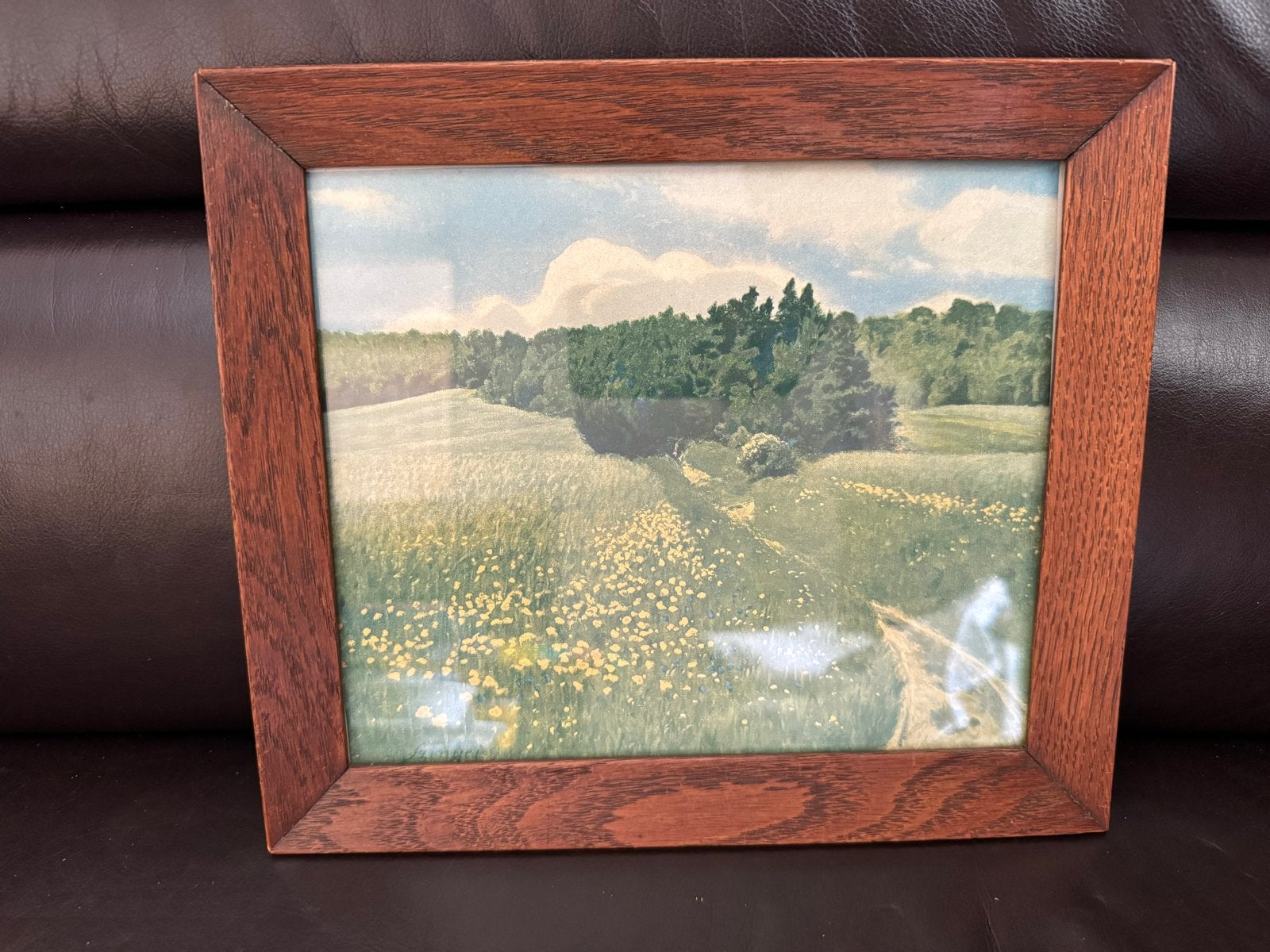 Vintage ingelijst werk: landschap met veldbloemen, Ophalen, Bruin, Gebruikt, Ingelijst werk